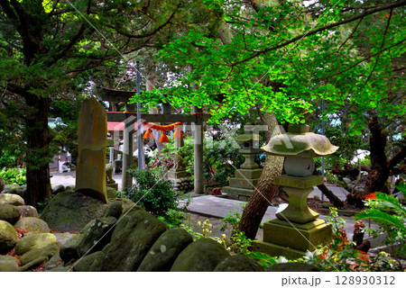 中部地方・伊豆半島・大瀬崎・淡水の神池で有名な大瀬神社、境内のイメージ・静岡県沼津市西浦(5) 128930312