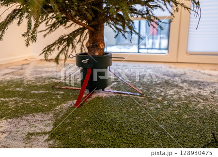 Dry Christmas tree in stand with fallen needles on carpet indoors after holidays 128930475