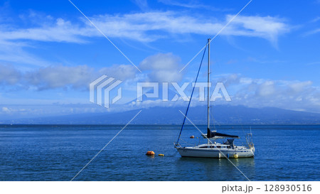 西伊豆からみた富士山 128930516