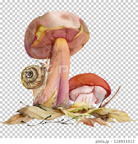 Suillus larch bolete slippery jack mushrooms with crawling snail, on top of autumn leaves pile with twigs. Fungi nature illustration hand drawn in watercolor. Forest floor habitat ecosystem scene. 128931013