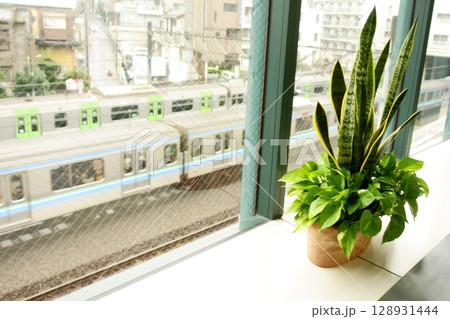 窓越しの電車 128931444
