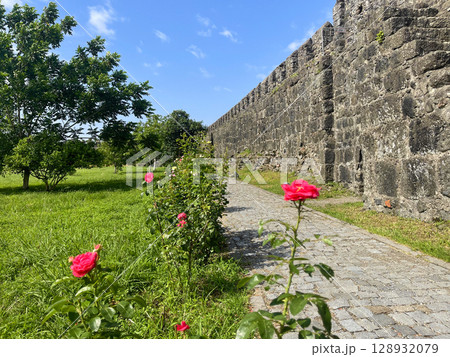 Old stone wall, road and red flowers 128932079