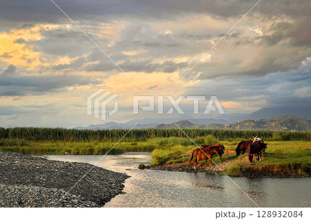 Beautiful landscape with sunset sky, clouds, river, meadow, field and horses Beautiful landscape with sunset sky, clouds, river, meadow, field and horses 128932084