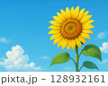 夏の青空に咲く元気なひまわりの花 128932161