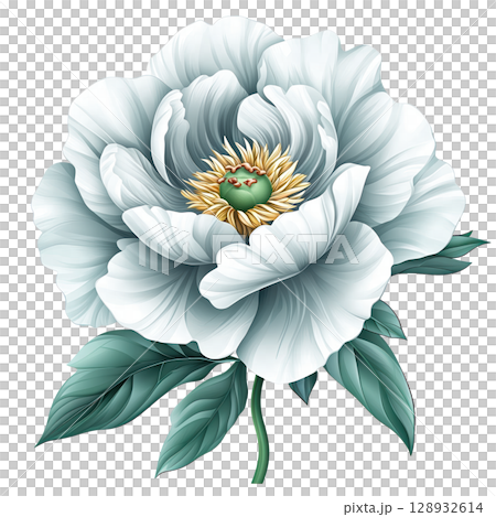 Lush White Peony Flower Illustration 128932614