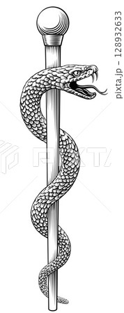 Rod of Asclepius Caduceus Medical Doctor Symbol Rod of Asclepius Caduceus Medical Doctor Symbol 128932633