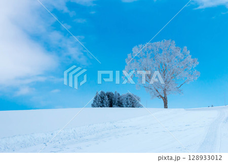 野沢温泉スキー場（長野県） 128933012