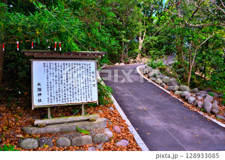 中部地方・伊豆半島・大瀬崎・大瀬神社、不思議な淡水の神池へ進む園路・静岡県沼津市西浦(2) 128933085