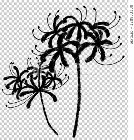 クレヨンタッチのモノクロの彼岸花　2輪 128933339