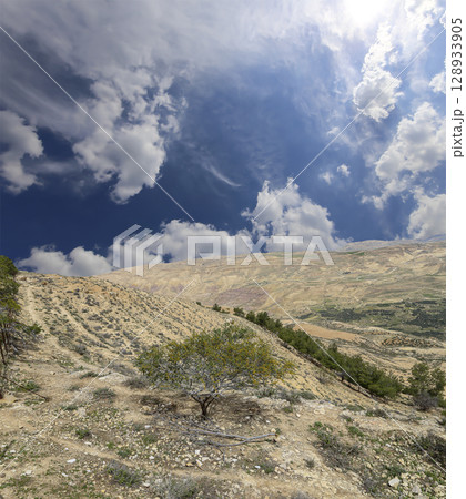 Typical mountain landscape, Jordan, Middle East  (photography from a high point). Against the background of a beautiful sky with clouds 128933905