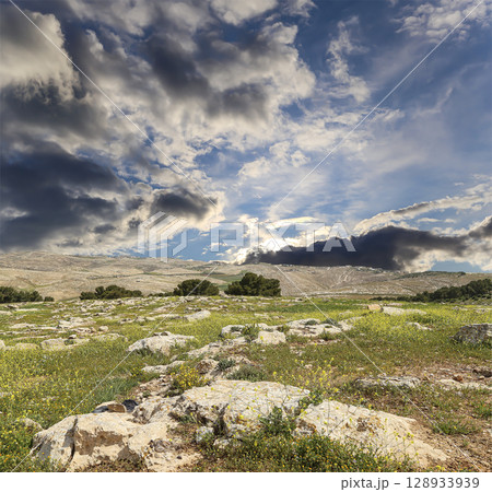 Typical mountain landscape, Jordan, Middle East  (photography from a high point). Against the background of a beautiful sky with clouds 128933939