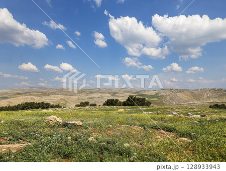 Typical mountain landscape, Jordan, Middle East  (photography from a high point). Against the background of a beautiful sky with clouds 128933943
