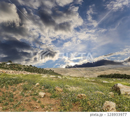 Typical mountain landscape, Jordan, Middle East  (photography from a high point). Against the background of a beautiful sky with clouds 128933977