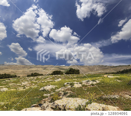 Typical mountain landscape, Jordan, Middle East  (photography from a high point). Against the background of a beautiful sky with clouds 128934091