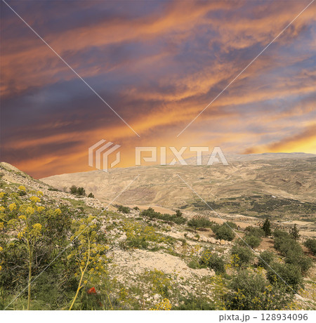 Typical mountain landscape, Jordan, Middle East  (photography from a high point). Against the background of a beautiful sky with clouds 128934096