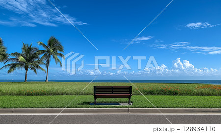 Relaxing bench with ocean view on sunny day 128934110