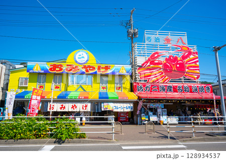 新潟　寺泊　魚の市場通り（魚のアメ横） 128934537