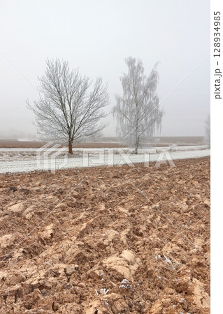 Frozen field and trees at the beginning of winter 128934985