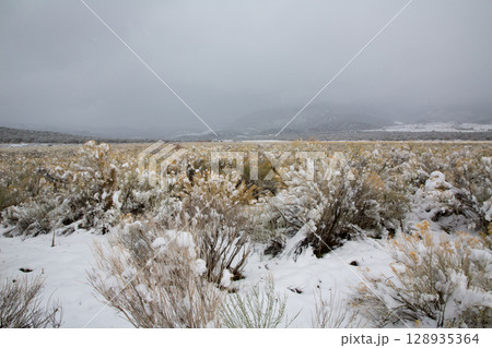 Nevada USA spring snow in the mountains Nevada USA spring snow in the mountains 128935364