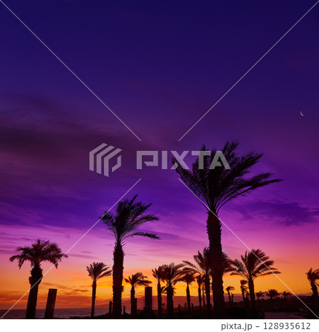 Almeria Cabo de Gata sunset in Retamar beach 128935612