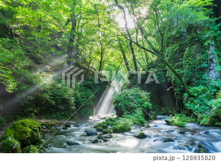 夏の軽井沢 竜返しの滝に差し込む光芒 夏の軽井沢 竜返しの滝に差し込む光芒 128935820