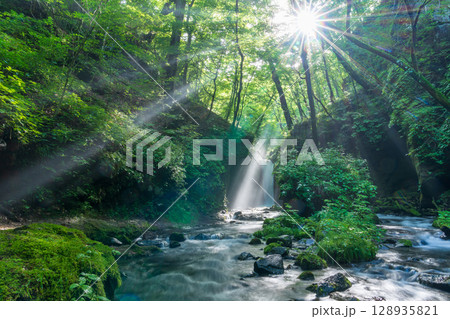 夏の軽井沢 竜返しの滝に差し込む光芒 夏の軽井沢 竜返しの滝に差し込む光芒 128935821