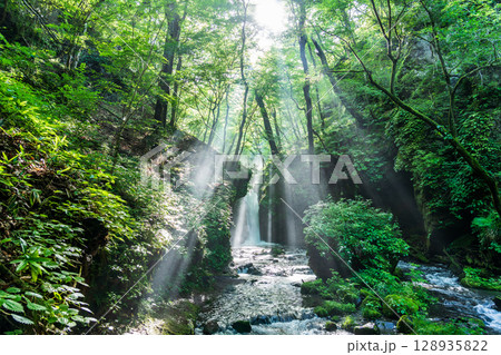 夏の軽井沢 竜返しの滝に差し込む光芒 128935822