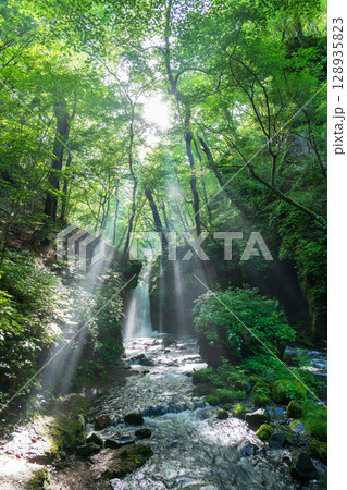 夏の軽井沢 竜返しの滝に差し込む光芒 128935823