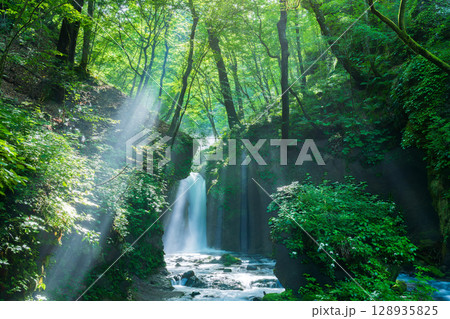 夏の軽井沢 竜返しの滝に差し込む光芒 夏の軽井沢 竜返しの滝に差し込む光芒 128935825