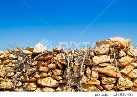 Mediterranean dried branches and masonry wall Mediterranean dried branches and masonry wall 128936455