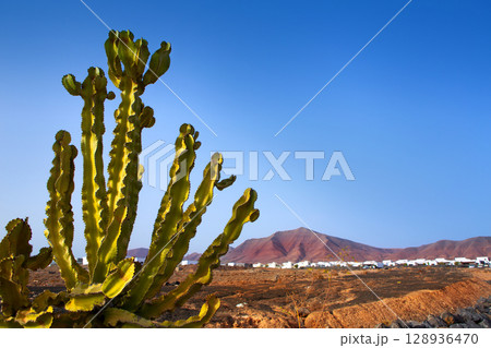 Ajaches mountain in Playa Blanca Lanzarote 128936470