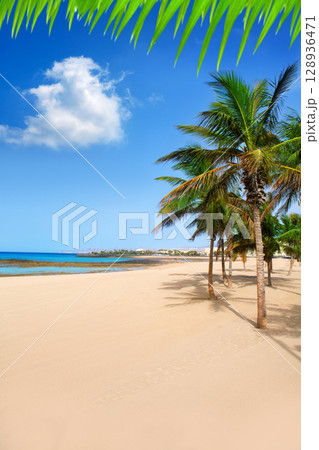 Arrecife Lanzarote Playa Reducto beach palm trees 128936471