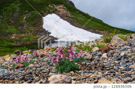 夏の乗鞍岳登山 128936506
