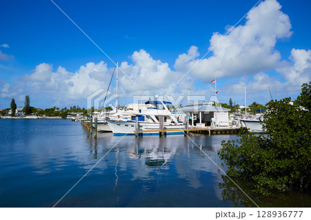Key West Florida marina Garrison Bight Florida Key West Florida marina Garrison Bight Florida 128936777