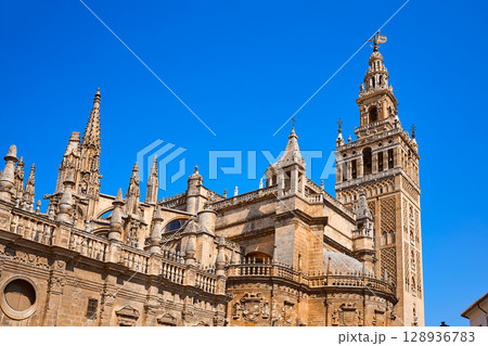 Seville cathedral Giralda tower of Sevilla Seville cathedral Giralda tower of Sevilla 128936783
