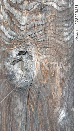 寺の山門の古い円柱 (クローズアップ) 128936881