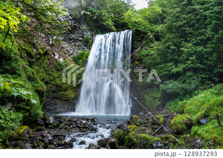 夏の乗鞍高原善五郎の滝 128937293
