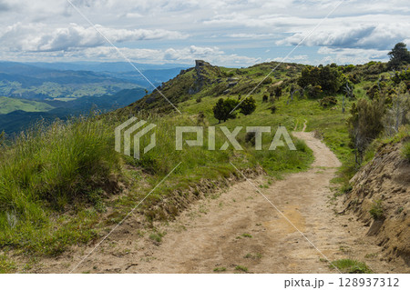 ニュージーランド　ホークス・ベイのトゥティラにあるベル・ロック・ループ・トラックから見える風景 128937312