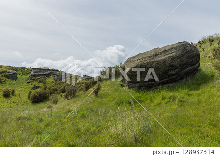 ニュージーランド　ホークス・ベイのトゥティラにあるベル・ロック・ループ・トラックの風景 128937314
