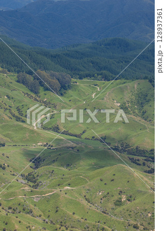 ニュージーランド ホークス・ベイのトゥティラにあるベル・ロック・ループ・トラックから見える風景 ニュージーランド ホークス・ベイのトゥティラにあるベル・ロック・ループ・トラックから見える風景 128937361