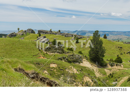 ニュージーランド ホークス・ベイのトゥティラにあるベル・ロック・ループ・トラックから見える風景 ニュージーランド ホークス・ベイのトゥティラにあるベル・ロック・ループ・トラックから見える風景 128937388