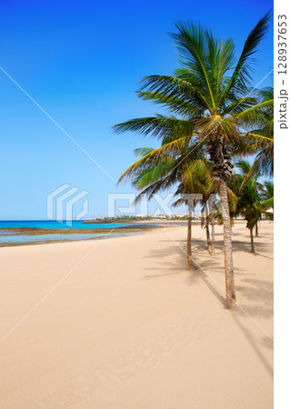 Arrecife Lanzarote Playa Reducto beach palm trees 128937653