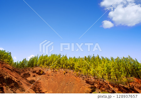 Corona Forestal in Teide National Park at Tenerife 128937657