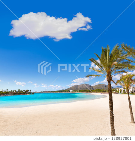 Platja de Alcudia beach in Mallorca Majorca 128937801