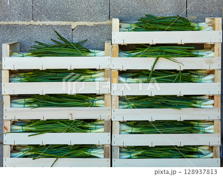 Onion harvest stacked in wooden basket boxes Onion harvest stacked in wooden basket boxes 128937813