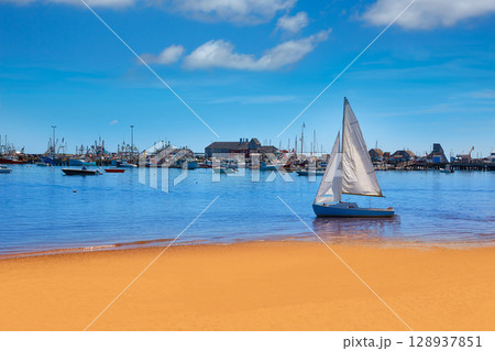 Cape Cod Provincetown beach Massachusetts Cape Cod Provincetown beach Massachusetts 128937851