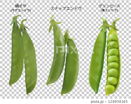 三種豌豆（附文字） 128938165