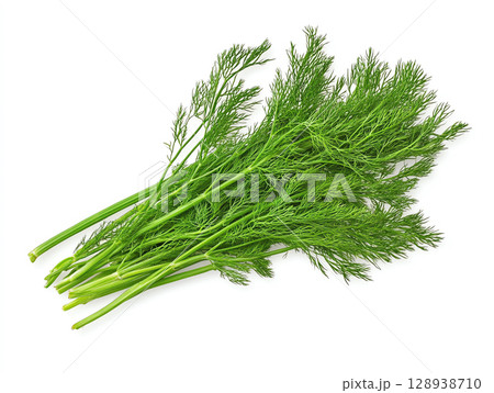 Fresh dill herb with vibrant green fronds on white background, perfect for culinary use and garnishing dishes. Its aromatic flavor enhances various recipes, adding delightful touch Fresh dill herb with vibrant green fronds on white background, perfect for culinary use and garnishing dishes. Its aromatic flavor enhances various recipes, adding delightful touch 128938710
