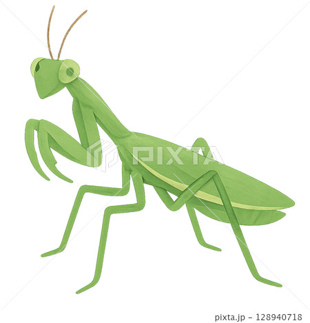 カマキリのイラスト素材 128940718