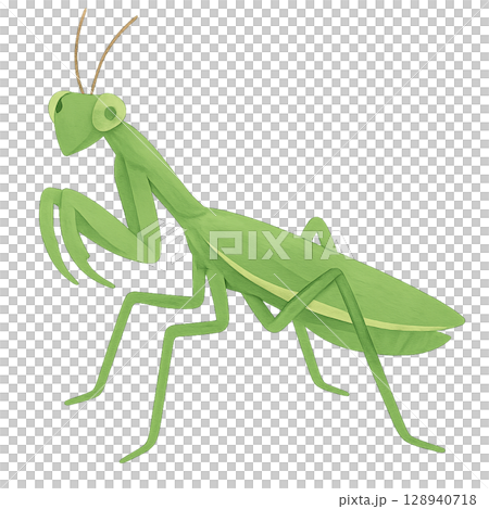 カマキリのイラスト素材 128940718